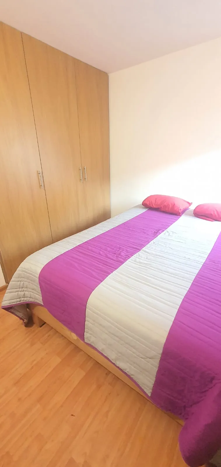 Renta Departamento Amuebl